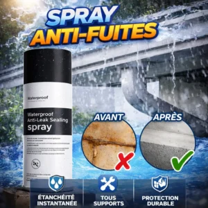 SPRAY DE RÉPARATION DE FUITE
